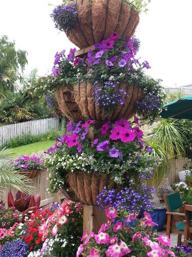 a bunch of flowers in baskets in a garden at Lush & Co Auckland Bed & Breakfast in Auckland