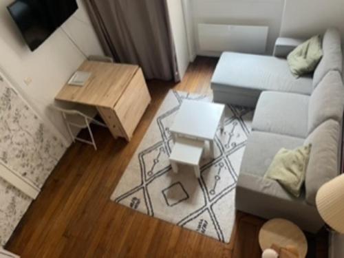 パリにあるCharming Studio Apartment with Patio Passerelleのソファとテーブルのあるリビングルーム