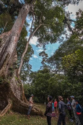 a group of people standing around a tree at El Jardin Lodge & Spa in Puerto Misahuallí