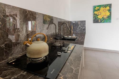 een waterkoker op een fornuis in een keuken bij Villa Mangku in Ricefield in Ubud