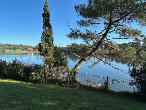 a view of a lake with a tree and a fence at Studio Design Chic à Chiberta - plage & green in Anglet