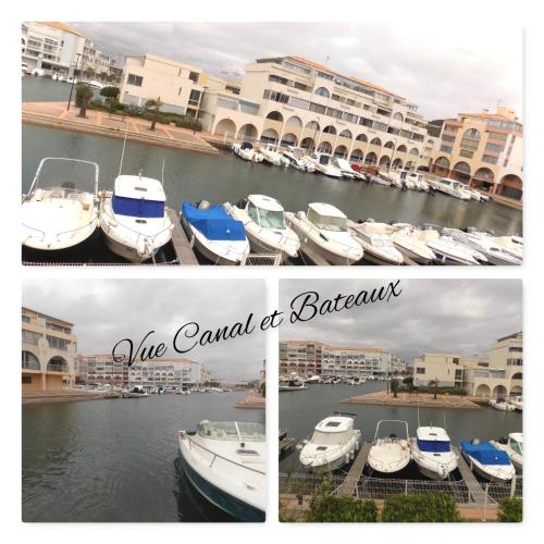 Marina et plage à vos pieds