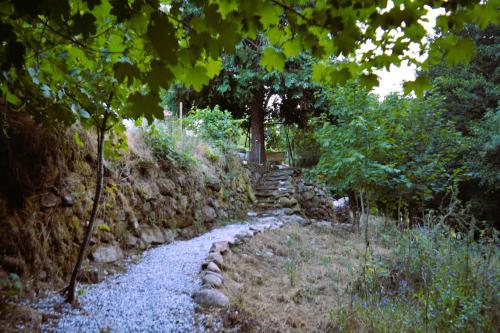 a stone path in a garden with a tree at Moinho do Zorrão in Manteigas