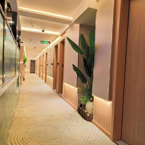 a corridor of an office building with plants on the walls at 上海璞逸酒店-豫园 新天地 老西门地铁站店 in Shanghai