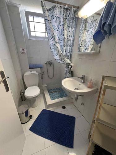 a small bathroom with a toilet and a sink at Handra Apartment Seaview in Kos