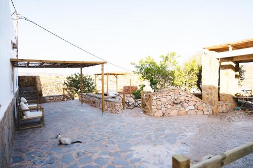 a bird laying on the ground in a patio at Cortijo La Risca in Almería