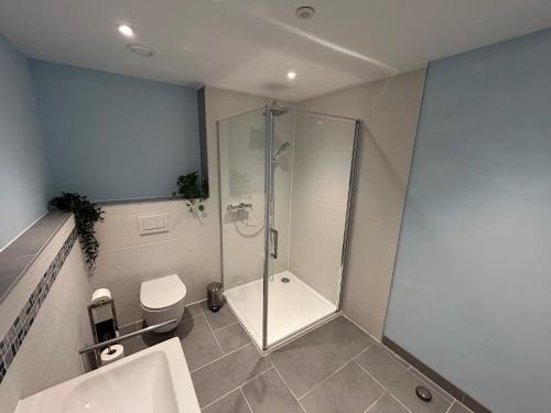 a bathroom with a shower and a toilet and a sink at Black Forest, relaxation, YOUR place! in Forbach