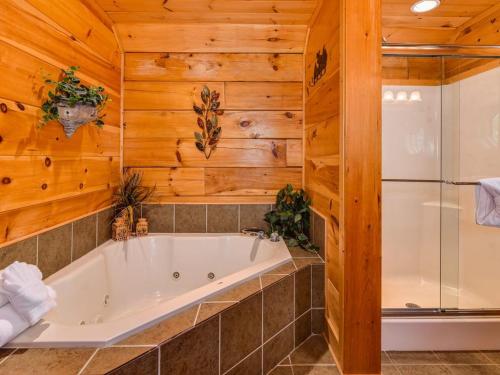 a bathroom with a tub and a shower at One More Night in Waldens Creek