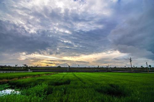 a field of green grass under a cloudy sky at Yun Tien Feng Chuan B&B in Dongshan