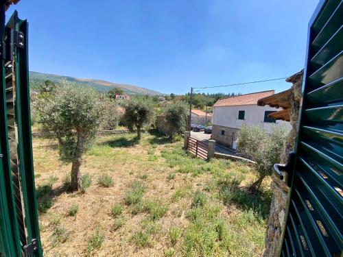 a view from the window of a house with olive trees at CASA DO PENEDO - Um Segredo na Serra da Estrela in Quintãs de Baixo