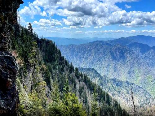 a view of a mountain valley with trees at Riverside Escape in Greystone Heights