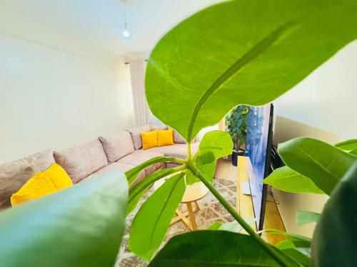 Una sala de estar con un sofá y una planta. en The LuxeLoft, en Eldoret