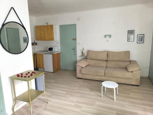 a living room with a couch and a table and a mirror at Résidence les Sources in Prats-de-Mollo-la-Preste