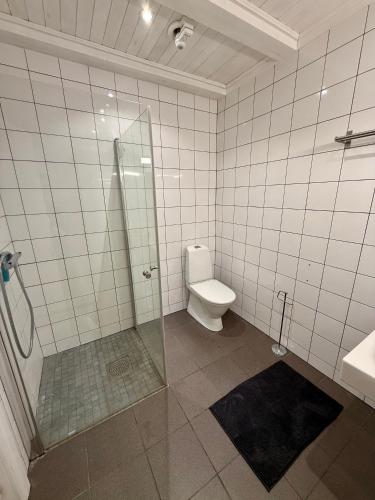 a bathroom with a shower and a toilet and a sink at Fjallhus Storhogna 2 in Storhågna