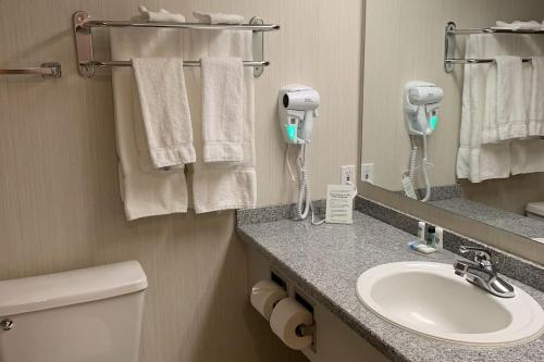Ένα μπάνιο στο Woodlands Inn & Suites