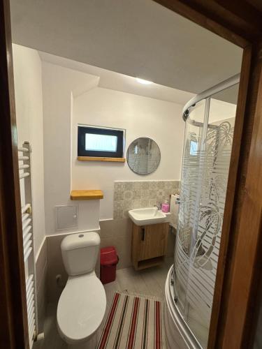 a bathroom with a toilet and a sink and a shower at Pensiunea Streiu in Lepşa