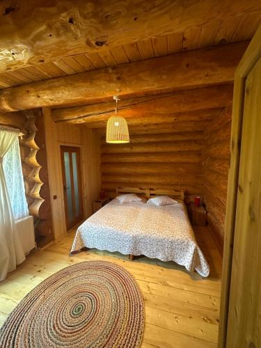 a bedroom with a bed in a log cabin at Pensiunea Streiu in Lepşa