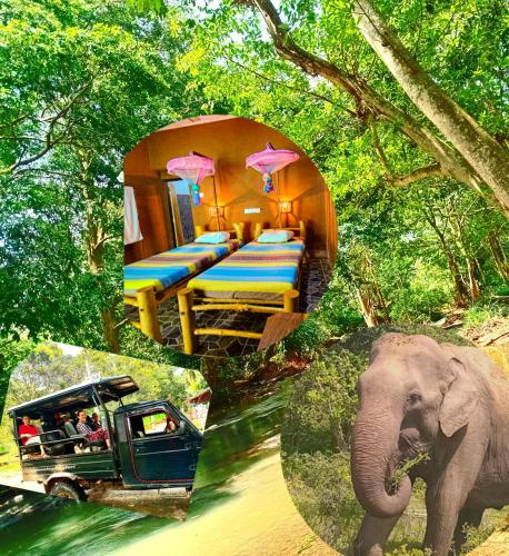 an elephant is standing in front of a bus at Elephant paradise Safari lodge in Udawalawe