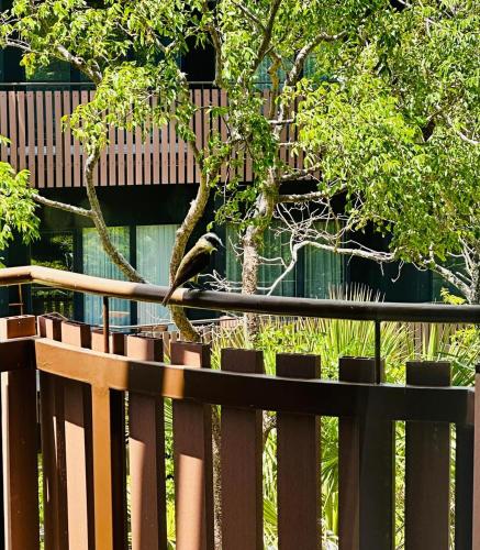 a bird sitting on top of a wooden fence at Jungle Guardian - Rooftop Pool & Beach Club in Zona Hotelera Tulum in Tulum