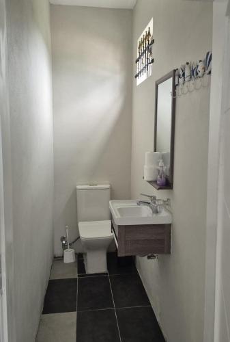 a bathroom with a sink and a toilet and a mirror at Villa Pierre Precieuse Private pool and garden in Cap Malheureux