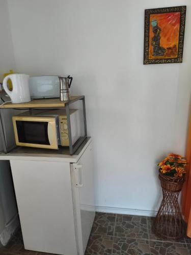 a microwave on a counter with a picture on the wall at Kamilla Vendégház in Ács
