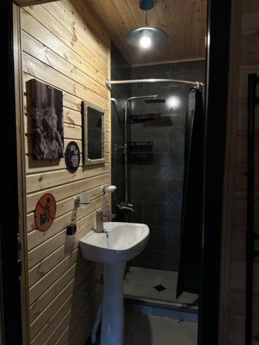 a bathroom with a sink and a shower at NitsHouse! in Tsemi