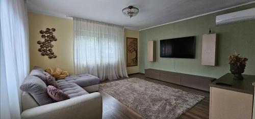 a living room with a couch and a flat screen tv at Casa Maxim - relaxare în verde in Pantelimon