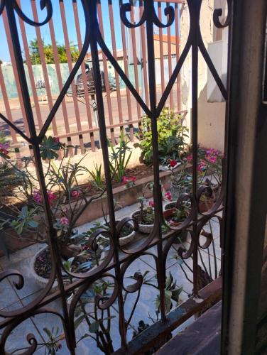 a wrought iron fence with a garden of plants at Pousada Cantinho do Sossego in Várzea Grande