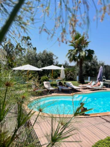 Πισίνα στο ή κοντά στο Villa Solar da Fonte