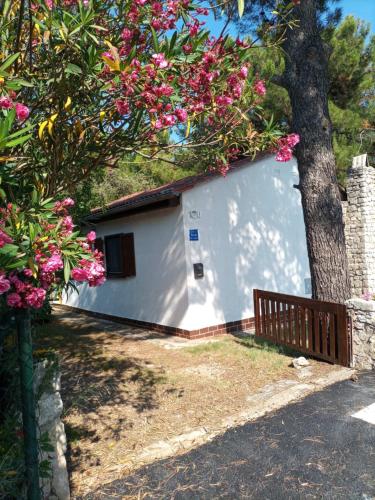 House Jasmina