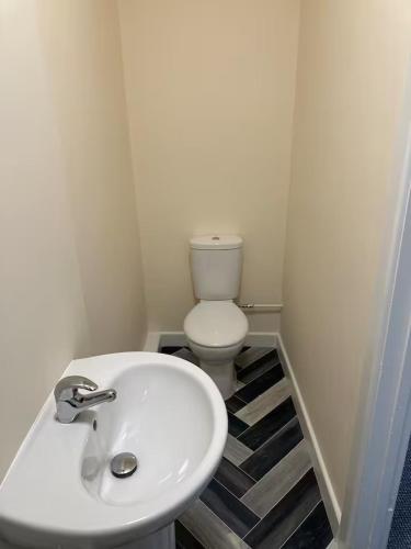 a bathroom with a white sink and a toilet at Thistle House in Dumfries