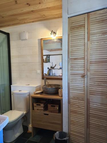a bathroom with a toilet and a sink and a mirror at Cap Mango Paradise in Capbreton