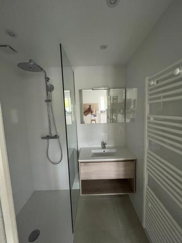 a bathroom with a sink and a shower at La Basse Meule Maison in Juvigné