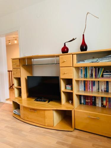 a wooden entertainment center with a tv and books at Ferienwohnung-Mühlviertel in Oepping