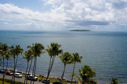 a group of palm trees on a beach with the ocean at Seaside Cove Studio-Completely Renovated! in Fajardo