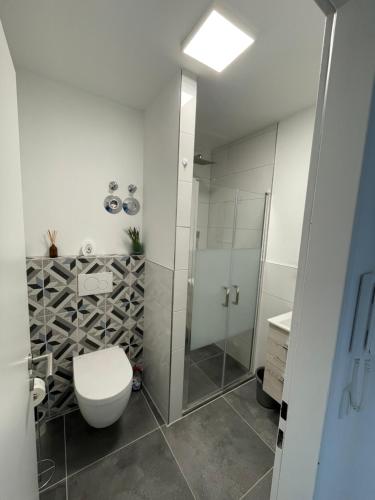 a bathroom with a toilet and a glass shower at Appartment Schwabenblick in Augsburg