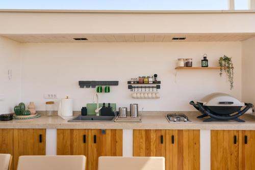 a kitchen with a counter top with wooden cabinets at Spa and Wellness Pannonia in Elemir