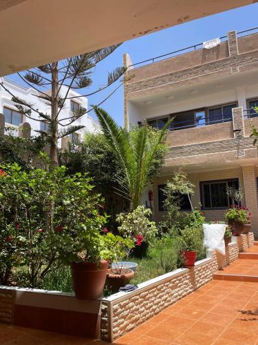ミルレフトにあるRiad Dar Fayçal - 6 Chambresの鉢植えの家