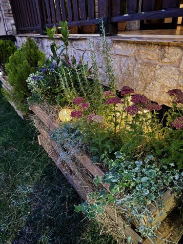 a garden with flowers and plants in a brick wall at Stenata LightWill in Banya