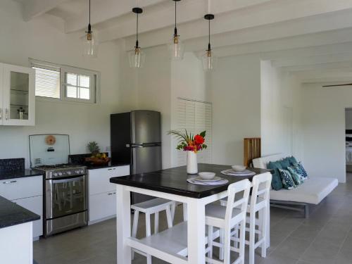 Modern Island Loft Near Beach & Rodney Bay, Walk to Pigeon Island Beach