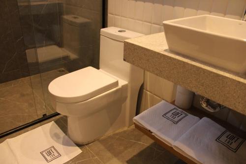 a bathroom with a toilet and a sink at LOFT 190. Hospedagem Inteligente. Campo Belo, Minas Gerais, Brasil. in Campo Belo