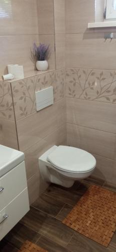 a bathroom with a toilet and a sink at Privat Ludmila in Liptovská Teplička