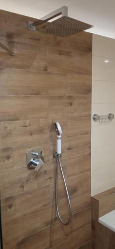 a shower in a bathroom with a wooden wall at Privat Ludmila in Liptovská Teplička