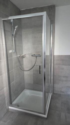 a shower with a glass door in a bathroom at Ferienwohnung Sonnenschein in Balderschwang