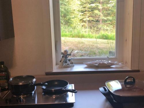 Imagen de la galería de LAKE FRONT fishing between Kasilof & Kenai river, en Soldotna