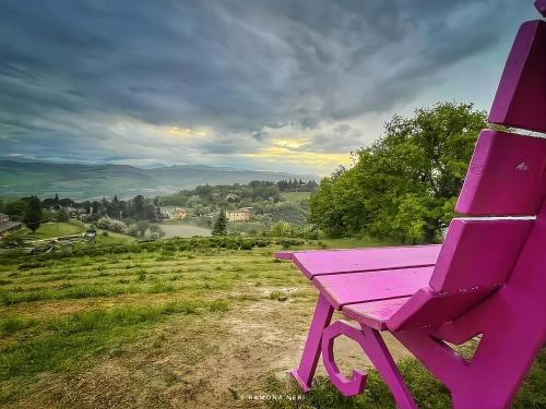 a purple bench sitting on top of a field at Foxes house in Monte Fabbri