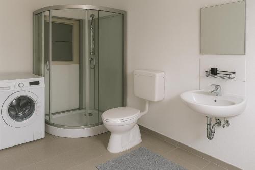 Un baño con inodoro, lavabo y ducha. en Charmante Wohnung in denkmalgeschützter Villa, en Bad Kreuznach