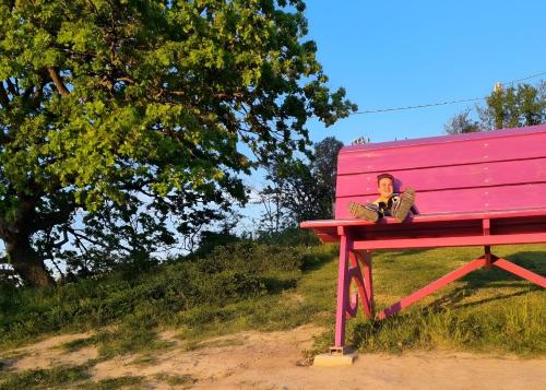 a person sitting on a pink bench at Foxes house in Monte Fabbri