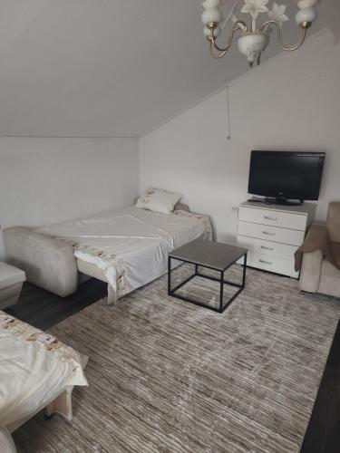 a bedroom with a bed and a tv and a table at Dino's Apartments in Plav