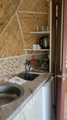 a kitchen with a sink and a counter top at Глемпінг Еко-сфера in Dubovtsy